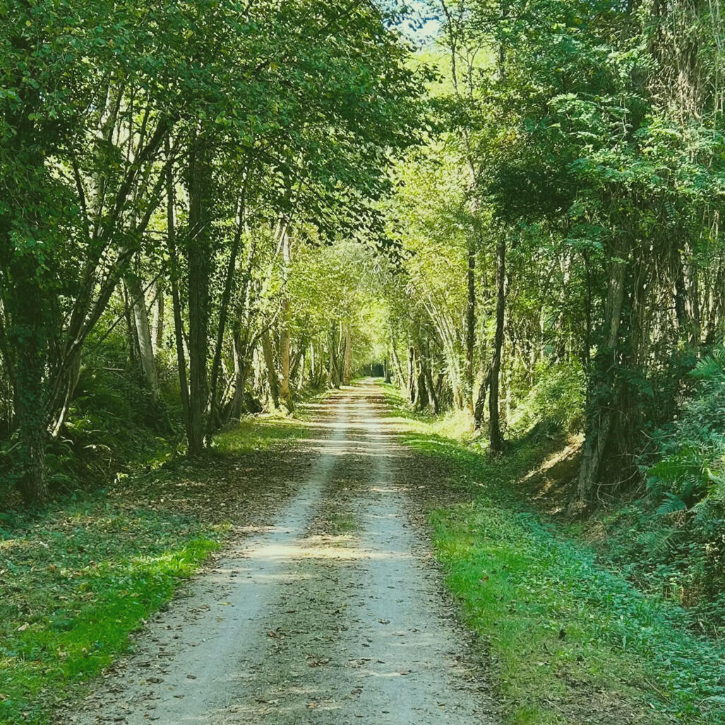 La Vallée Verte