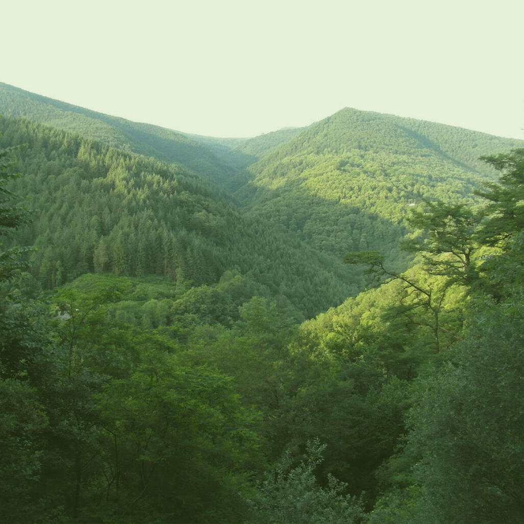 La Vallée Verte